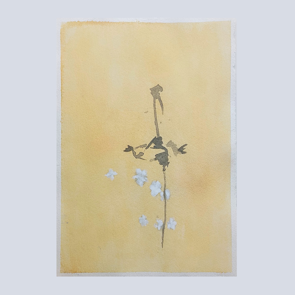 1st-Book-of-Colour-1995,-Vinyl_Nessel-je-30x30cm